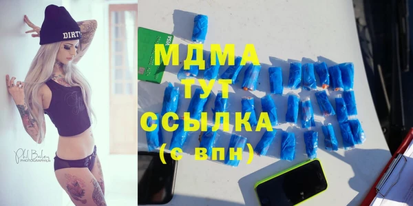 apvp Алзамай