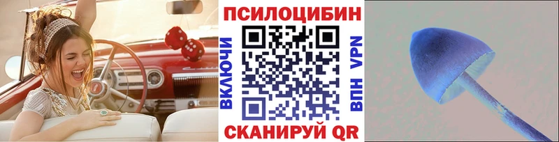 Псилоцибиновые грибы прущие грибы  ОМГ ОМГ как войти  Собинка 